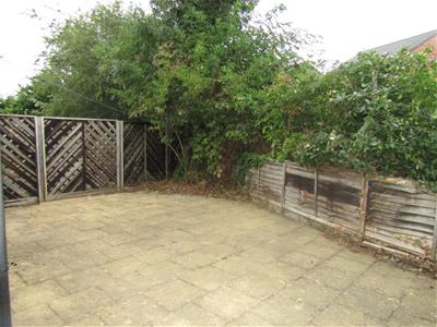 Picture 13